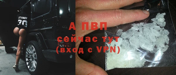 хмурый Лиски