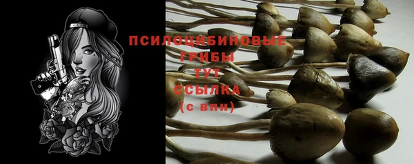 хмурый Лиски