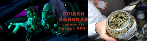 хмурый Лиски