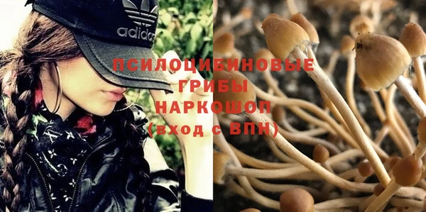 spice Лагань