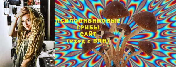 хмурый Лиски