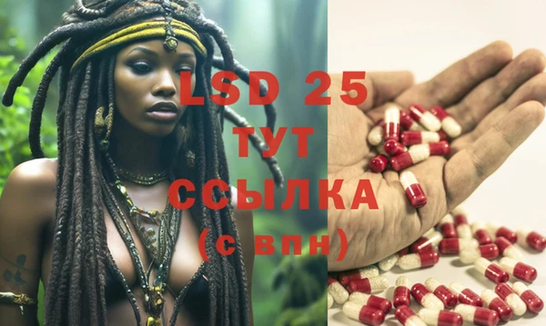 эйфоретик Липки