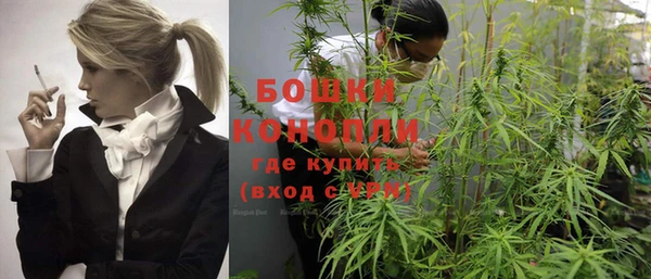 эйфоретик Липки