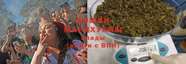 хмурый Лиски