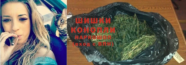 эйфоретик Липки