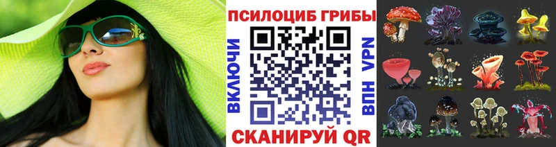 Галлюциногенные грибы Psilocybine cubensis  mega tor  Эртиль 
