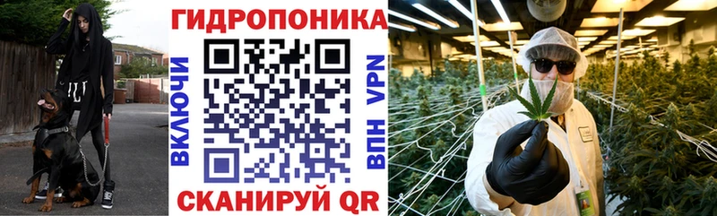 цены   Эртиль  Бошки Шишки семена 